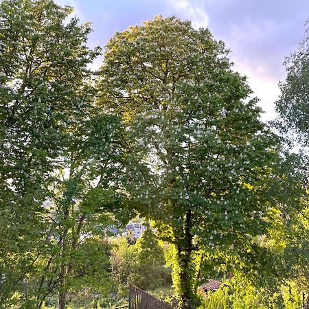 Sara Home Chennevières-sur-Marne Zewnętrze zdjęcie